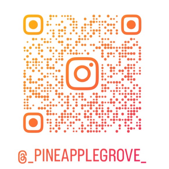 Follow Pineapple Grove on Instagram - Picture 1 of 1
